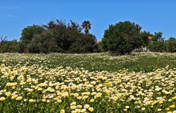 Albufeira, Algarve