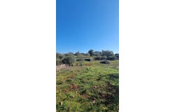 Mouricão, São Bartolomeu de Messines, Algarve 8375-056