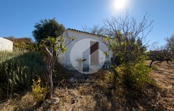 Conceio e Estói, Algarve 8005