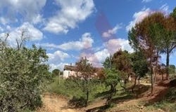 São Bartolomeu De Messines, Algarve 8375