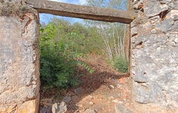 Rua Esquerda, Pedrógão, Santarém District 2350-263