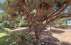 Boliqueime, Algarve 8100