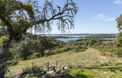 Monsaraz, Évora 7200