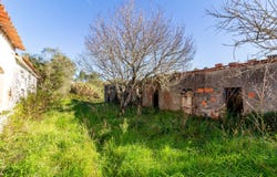 Rua da Escola, Cela, Leiria District 2460-358