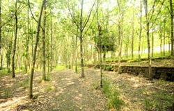 Ribeirão, Braga