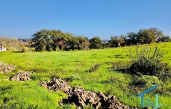 Tomar, Santarém District 2300
