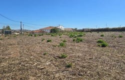 Torres Vedras, Lisboa