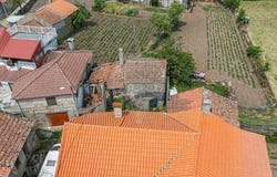 Montalegre, Vila Real