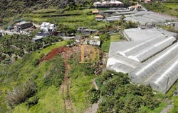 Ribeira Brava, Madeira
