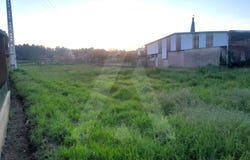 Oiã, Aveiro District