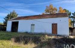 Caria, Castelo Branco 6250