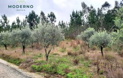 Vermoil, Leiria District