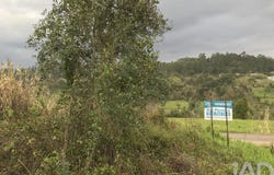 Leiria, Leiria District