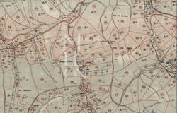 AMÊNDOA, Santarém District