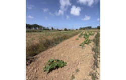 Peniche, Leiria District