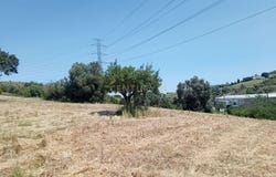 Quinta da Calçada, Alhandra, Lisbon 2600-770