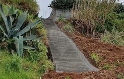 Canhas, Madeira 9360