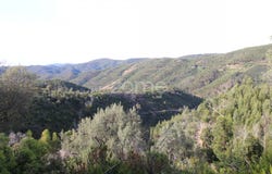 Monchique, Algarve