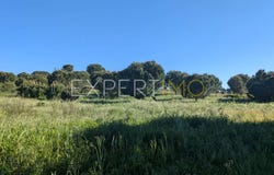 MC6C+Q3, Évora, Évora District 7080