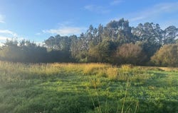 Espinho, Aveiro Municipality 4500