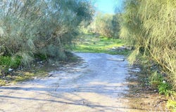 Setúbal, Setubal