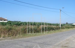 Válega, Aveiro District