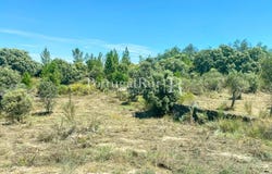 Aldeia De Santa Margarida, Castelo Branco 6060