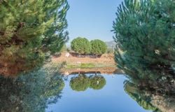 Tortosendo, Castelo Branco District