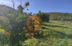 Junqueira, Castro Marim, Faro