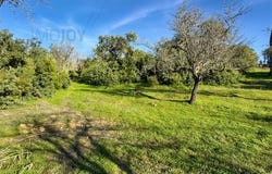 Albufeira, Faro 8200-505