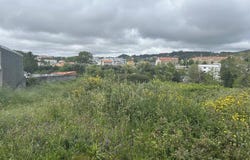 Perosinho, Porto 4415