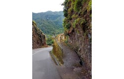 São Vicente (Madeira), Madeira