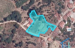 Tomar, Santarém District 2300