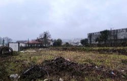Vila Verde e Barbudo, Braga