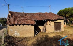 Tomar, Santarém District 2305-507