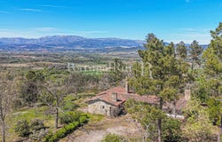 Fatela, Castelo Branco 6230