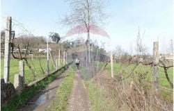 Braga, Braga