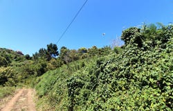 Caniço, Madeira 9125
