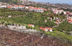 Estreito Câmara de Lobos, Madeira