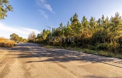 Pombal, Leiria District