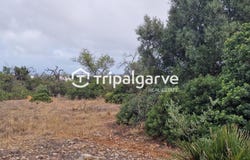 Boliqueime, Algarve 8100