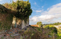 Monte, Madeira 9050