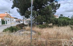 Setúbal, Setubal