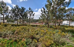 Foz Do Arelho, Leiria 2500