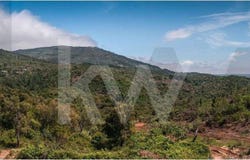 Monchique, Algarve 8550