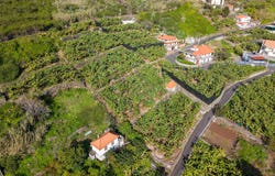 Tábua, Madeira 9350