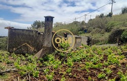 CANIÇO, Madeira