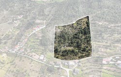 Vila Real, Vila Real District 5425