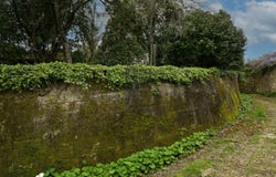 Vale de Cambra, Aveiro District