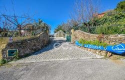 Tomar, Santarém District